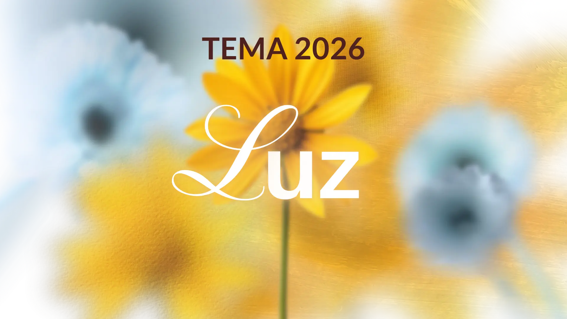 Tema 2026: Luz — flor amarela em fundo suave
